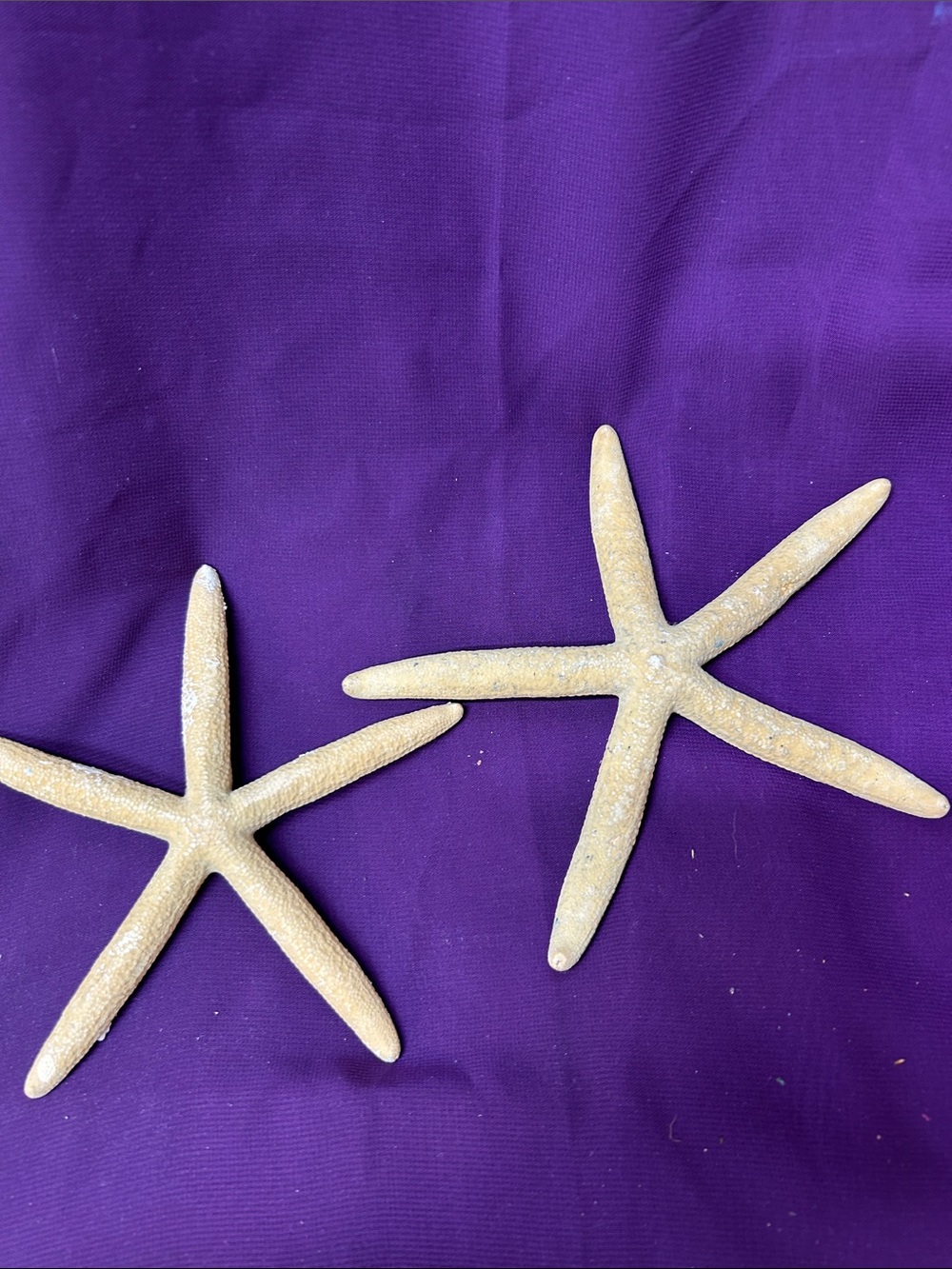 Pair of Natural Beige Starfish Decor